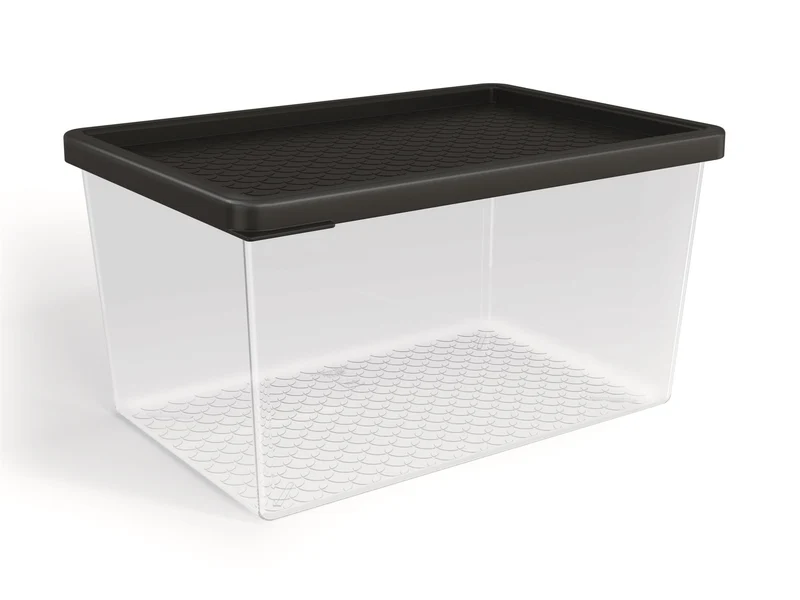 ORGANIZADOR MULTIUSO 2.9LTS TRANSP. TAPA NEGRA
