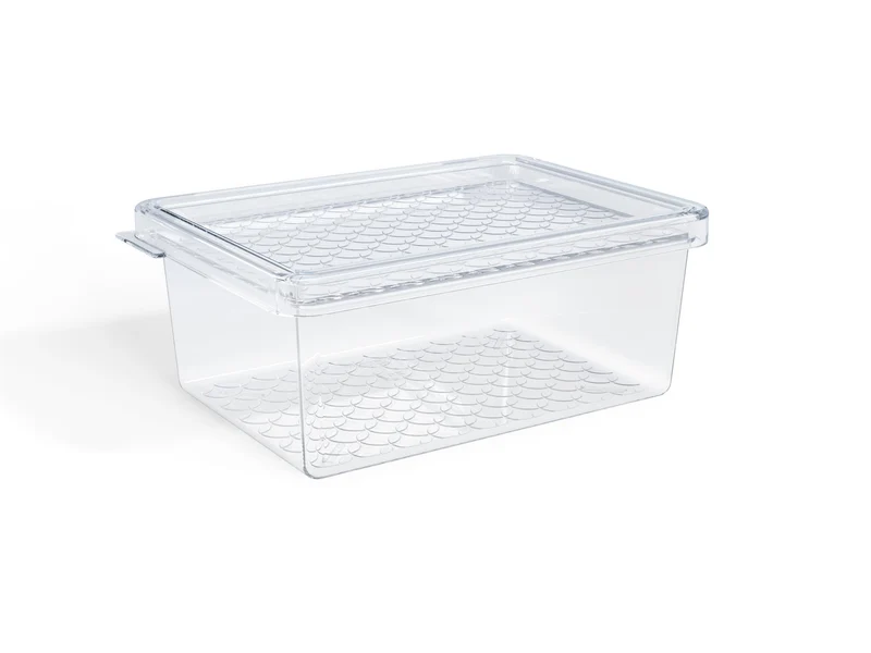 ORGANIZADOR MULTIUSO 600ML TRANSP. TAPA TRANSP.