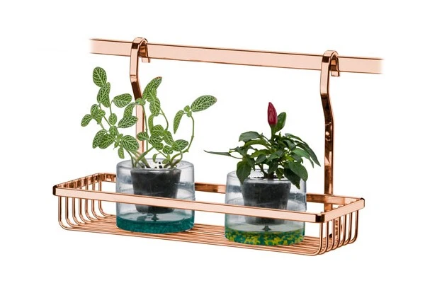 REPISA - ROSE GOLD