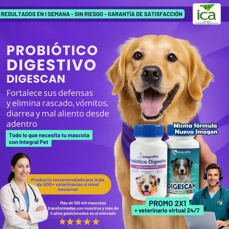🔴 IntegralPet™ 2x1 | Recupera la Salud de tu Perro ✅