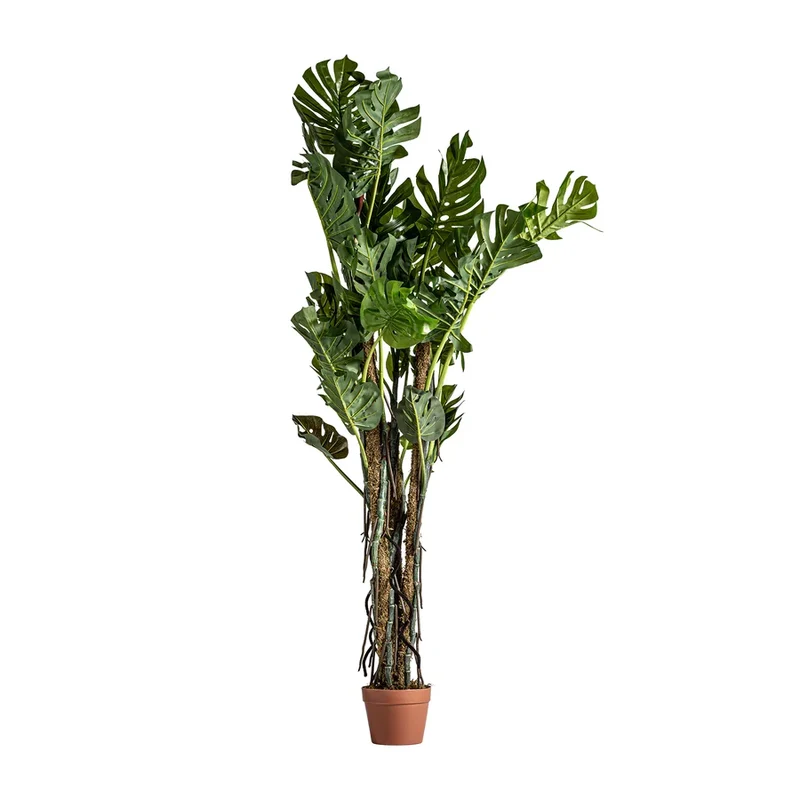 Planta Artificial Split Philo
