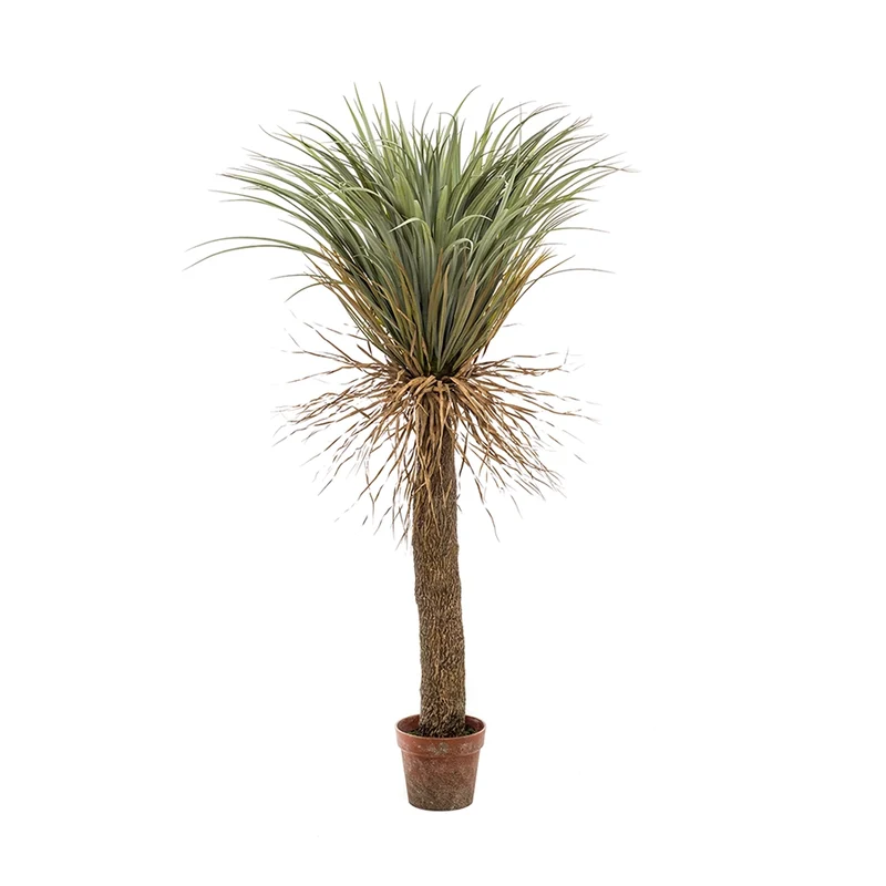 Árbol Artificial Yucca Elegant Salvaje