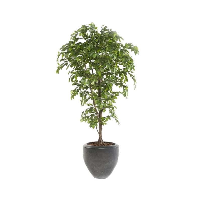 Árbol Artificial Ficus Premium