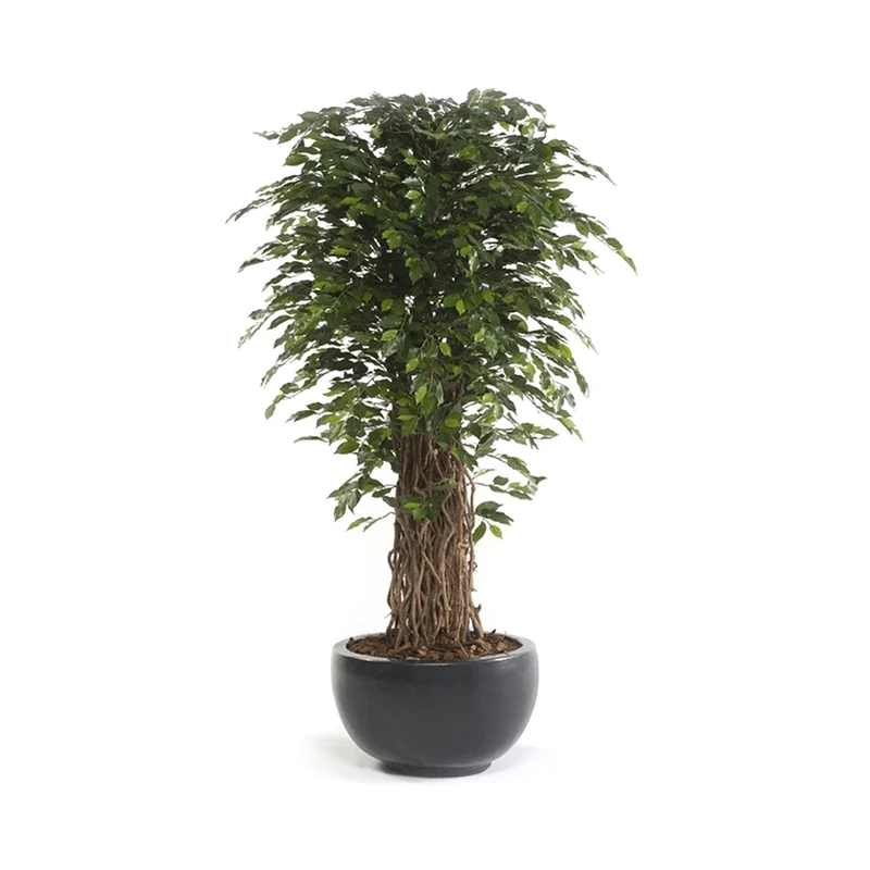 Árbol Artificial Ficus Deluxe