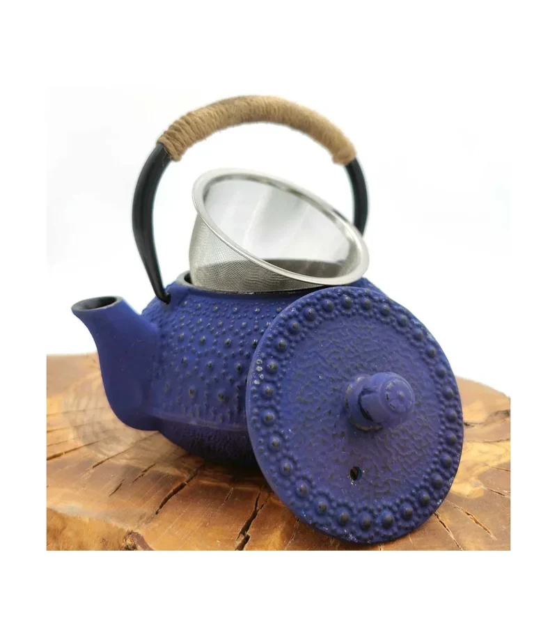Tetera de Hierro Fundido Estilo Japonés Tetsubin - Elegancia y Tradición en tu Taza