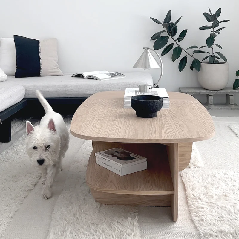 Ibon L Coffee Table with Storage · White Pigmented Oak