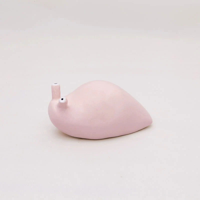 Babosa Rosa Ñoño Pequeña