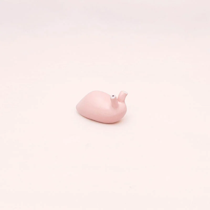 Babosa Rosa Ñoño Mini