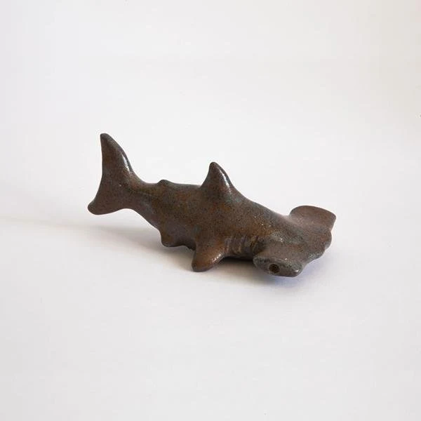 Tiburón Martillo