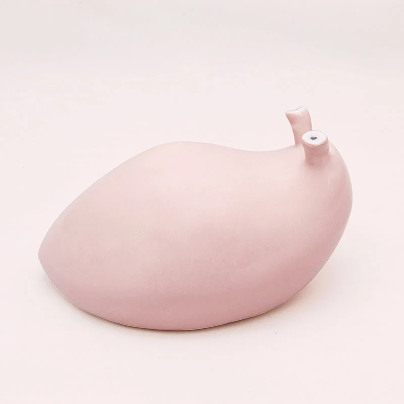 Babosa Rosa Ñoño Mediana