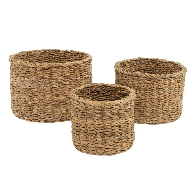 CESTA REDONDA ALGA