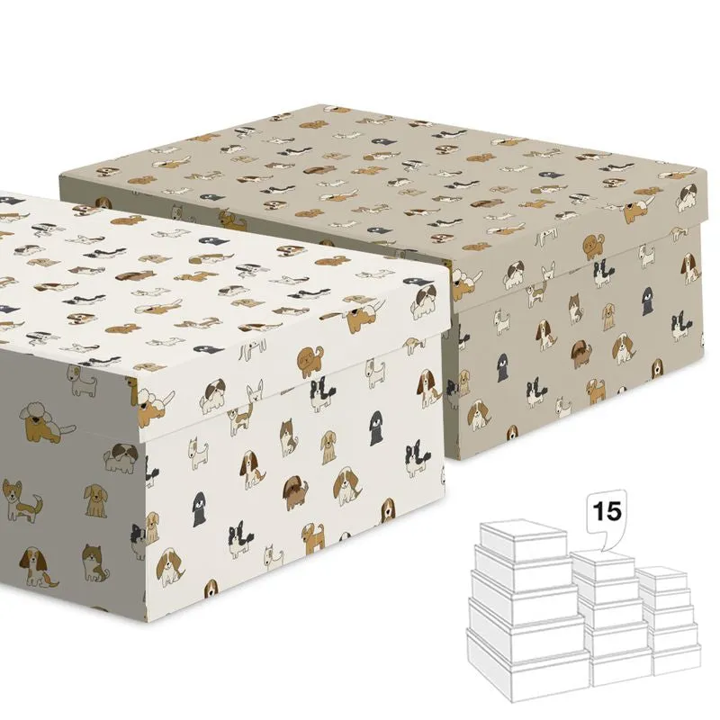 CAJAS PERRITOS